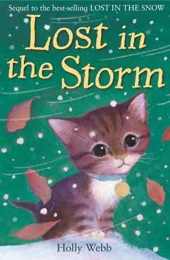 Lost in the Storm (eBook, ePUB) - Webb, Holly