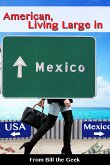 American Living Large in Mexico (eBook, ePUB)
