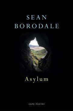 Cover Asylum (eBook, ePUB)