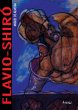 Flávio Shiró (eBook, ePUB) - Bild 1