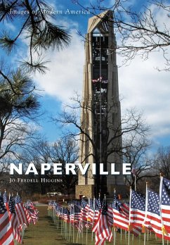 Naperville (eBook, ePUB) - Higgins, Jo Fredell