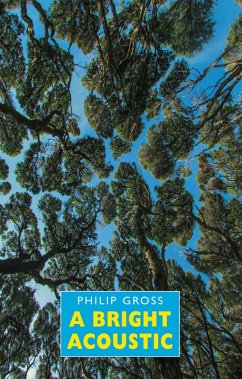 A Bright Acoustic (eBook, ePUB) - Gross, Philip