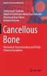 Cancellous Bone - Bild 1