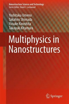 Multiphysics in Nanostructures - Umeno, Yoshitaka;Shimada, Takahiro;Kinoshita, Yusuke