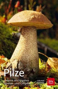 Pilze (Mängelexemplar) - Hausner, Gerlinde