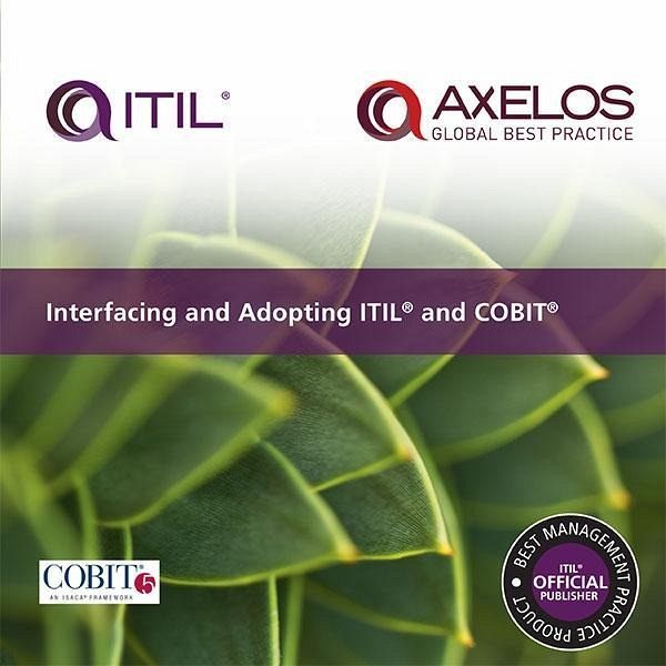 Interfacing and Adopting ITIL and COBIT (eBook, ePUB) Interfacing and Adopting ITIL and COBIT (eBook, ePUB)