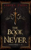 The Book of Never, Volumes 1-5 (eBook, ePUB) The Book of Never, Volumes 1-5 (eBook, ePUB)