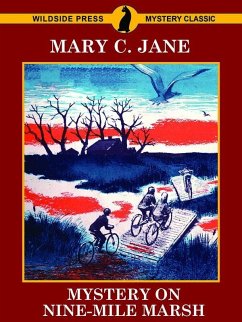 Mystery on Nine-Mile Marsh (eBook, ePUB) - Jane, Mary C.