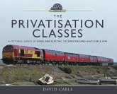 The Privatisation Classes (eBook, ePUB)