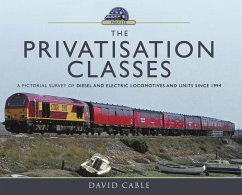 The Privatisation Classes (eBook, ePUB) - Cable, David