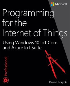 Programming for the Internet of Things (eBook, PDF) - Borycki Dawid