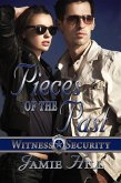 Pieces of the Past (eBook, ePUB)