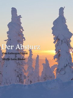 Cover Der Absturz (eBook, ePUB)