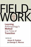 Fieldwork Is Not What It Used to Be (eBook, PDF)