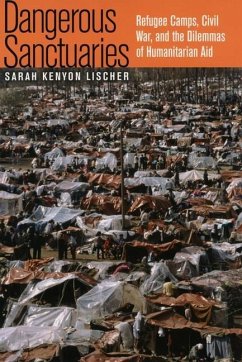 Cover Dangerous Sanctuaries (eBook, PDF)