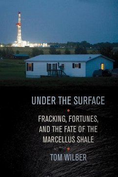 Under the Surface (eBook, PDF) - Wilber, Tom