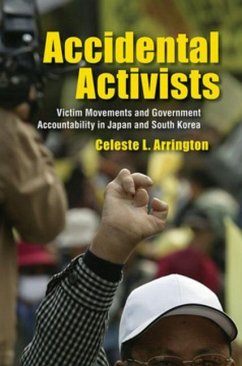 Accidental Activists (eBook, PDF)