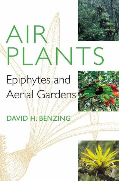 Air Plants (eBook, PDF)