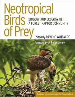 Neotropical Birds of Prey (eBook, PDF)