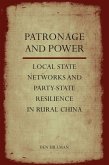 Patronage and Power (eBook, ePUB)