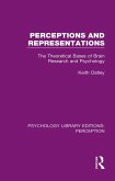 Perceptions and Representations (eBook, ePUB)
