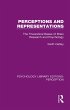 Perceptions and Representations (eBook,... - Bild 1
