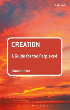 Creation: A Guide for the Perplexed (eBook, ePUB) - Oliver, Simon