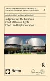 Judgments of the European Court of Human Rights - Effects and Implementation (eBook, PDF)