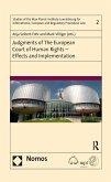 Judgments of the European Court of Human Rights - Effects and Implementation (eBook, ePUB) Judgments of the European Court of Human Rights - Effects and Implementation (eBook, ePUB)