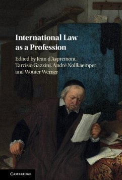 International Law as a Profession (eBook, PDF)