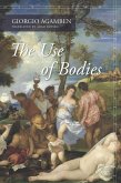 The Use of Bodies (eBook, ePUB)
