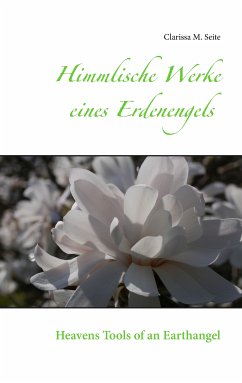 Himmlische Werke eines Erdenengels (eBook, ePUB)