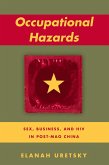 Occupational Hazards (eBook, ePUB)