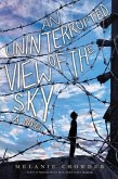 An Uninterrupted View of the Sky (eBook, ePUB)