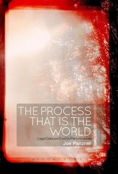 The Process That Is the World (eBook, ePUB) - Panzner, Joe