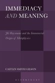 Immediacy and Meaning (eBook, ePUB)