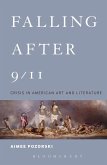 Falling After 9/11 (eBook, PDF)