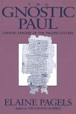 The Gnostic Paul (eBook, PDF)
