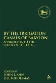 By the Irrigation Canals of Babylon (eBook, PDF)