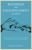 Blindness and Enlightenment: An Essay (eBook, PDF)