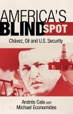 America's Blind Spot (eBook, PDF)