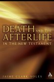 Death and the Afterlife in the New Testament (eBook, PDF)