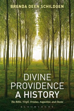Cover Divine Providence: A History (eBook, PDF)