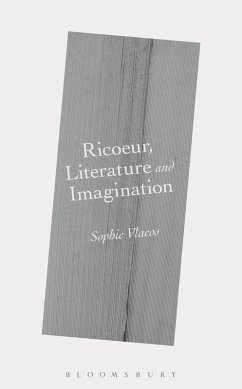 Cover Ricoeur, Literature and Imagination (eBook, PDF)