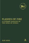 Flashes of Fire (eBook, PDF)