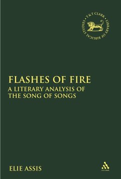 Cover Flashes of Fire (eBook, PDF)