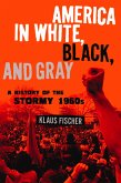 America in White, Black, and Gray (eBook, PDF)