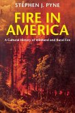 Fire in America (eBook, ePUB)