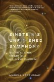 Einstein's Unfinished Symphony (eBook, ePUB)