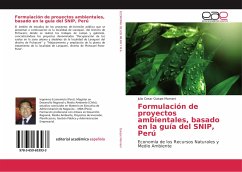 Formulación de proyectos ambientales, basado en la guía del SNIP, Perú - Quispe Mamani, Julio Cesar